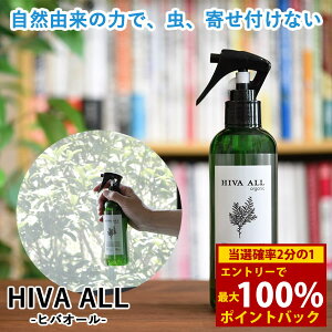 12/1聚ő100%|CgobNqoI[ ߂ނ JV ΍  Q  qo Xv[ qmL`I[ zc  J[ybg ʂ S~ Ԍ N[[bg