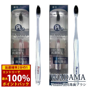 ��12/19�`12/26���聚�ő�100%�|�C���g�o�b�N���y���K�̔��X�zPtnano ���^�쎕�u���V WADAMA ���_�} (���[���֑�������) �v���`�i�i�m���u���V ������ ���{�� �i�m �v���`�i ��u���V �R�� �h�L �� 