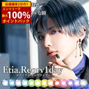 ＜7/4〜7/11限定★最大100%ポイントバック＞エティア レオーヴワンデー 1箱10枚 (メール便送料無料) コスプレ カラコン ワンデー 14.5mm 1day 度あり 度なし etia reorv カラーコンタクト コンタクトレンズ