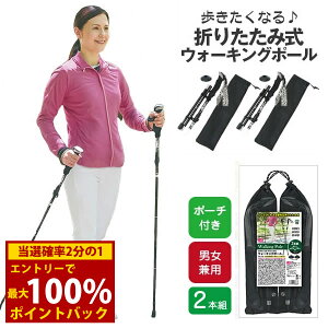 11/1聚ő100%|CgobNȂ ܂肽ݎEH[LO|[2{g () gbLO|[ XebL  XeBbN EH[LO@܂肽 RpNg