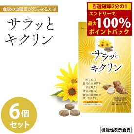 ＜7/18限定★最大100%ポイントバック＞サラッとキクリン 6個セット 機能性表示食品 (全国一律送料無料) イヌリン 菊芋 サラシア 血糖値 亜鉛 マグネシウム サプリメント 健康食品 炭水化物 食べ過ぎ 甘いもの