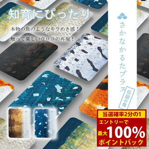 11/18聚ő100%|CgobNȂ邽vXy`̋ŁEC̒ދŁz邽  m J[hQ[ ߋ   C lC mߋ Ȃ邽 wK  t