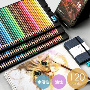 FM120FZbg   FM J[yV A[gZbg   [ ML hG A[gZbg v[g fbT G LKD-028