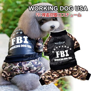 hbOEFA  ybgEFA RXv FBI ph ybgEFA  RX`[ ^ ^ ^  񑫕s nEB _E LP-034yzyRCPz