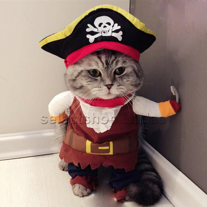 楽天市場 送料無料 海賊 パイレーツ 犬服 猫服 小型犬 仮装 二足歩行 コスプレ ハロウィン ドッグウエア S M L Lp 010 送料無料 Rcp セレクトショップcandy