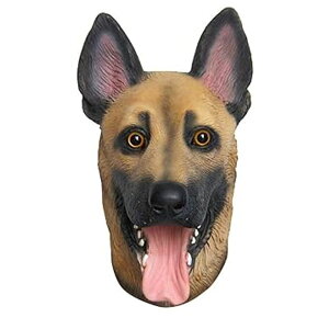 Aj} }XN  VFp[h JG jg CI EV p_ ApJ ng p_ Ԃ  ϐg RXv nEB NX}X LZ-072