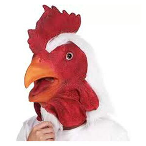 Aj} }XN  VFp[h JG jg CI EV p_ ApJ ng p_ Ԃ  ϐg RXv nEB NX}X LZ-072