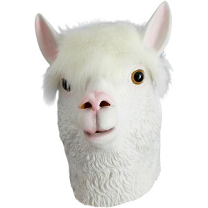 Aj} }XN  VFp[h JG jg CI EV p_ ApJ ng p_ Ԃ  ϐg RXv nEB NX}X LZ-072