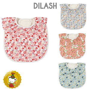 30OFFZ[@|VFrXLCla poche biscuit@^t^HGv/X^CExr[̎q