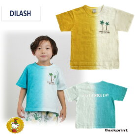 ディラッシュ DILASH　　ヤシの木ツートンカラー　半袖Tシャツ (140cm）男の子/キッズ・ジュニア/子供服