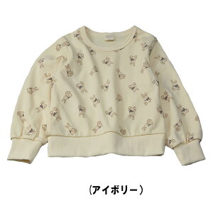 |VFrXLCEʂ݃vgg[i[i80cm-90cmjxr[@LbYt@bVEi`EqiLa Poche biscuitj