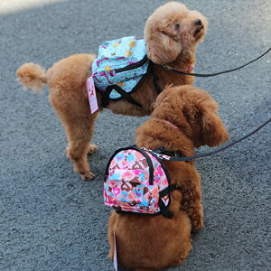 犬用首輪 リード ハーネス ポメラニアンの人気商品 通販 価格比較 価格 Com 犬用首輪 リード ハーネス ポメラニアンの人気商品 通販 価格比較 価格 Com