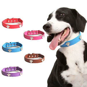 []̎/ `[̍v  IWifUCt@bViuJ[ VvȃfUC𐶂މ`[ŃIVQ[TCY