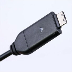 [送料無料]TTA-20ピン(TTA20ピン TTA20pin) 充電 データ転送 USBケーブル (サムソンコネクタ/サムソン端子/WiMAX URoad-7000/7000SS/工人舎PM/WDPF-701ME/COWON S9/J3/X7/UMPC mbook M1/特殊ケーブル/光iフレーム/フレッツ・マーケット/予備/付属品)