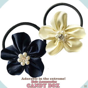  wAS wANZT[ S ~  |j[ S c ct w LbY qp cp т₷ v[g Mtg a v`v Ȃ  킢 