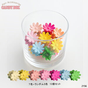  wAS wANZT[ S   |j[ c ct w LbY qp cp т₷ v[g Mtg a v`v Ȃ  킢 