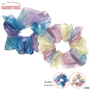  VV wAANZT[  킢  LbY qp pXe  jR[J[ 傫 I[KW[