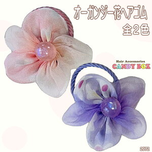  wAS wANZT[ S ~  |j[ S c ct w LbY qp cp т₷ v[g Mtg a v`v Ȃ  킢 