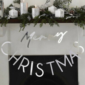 hyGingerRayz͂Merry CHRISTMAS@Vo[ANK[h@NX}XfR[V@t@V[EBh[@W@LOBe