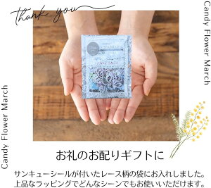yCandy Flower MarchzThank youzMtgE2t[o[Zbg×10