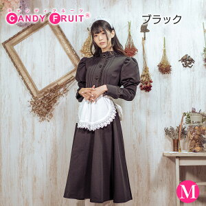 Ch O 傫TCY N[fBACh fB[X Y   O NVJ ubN NVbN M,XLTCY RXv Gv J`[V nEB s[X 