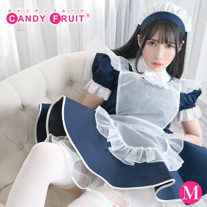  Ch̃LfBt[c ~NCh(lCr[) fB[X Y    ubN M,XLTCY RXv