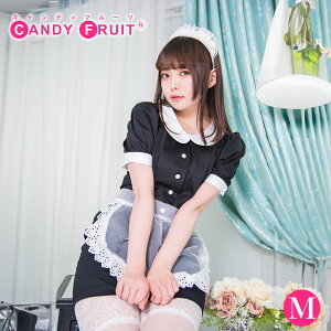 Ch̃LfBt[c CIjACh fB[X  ubN g ^Cg M,XLTCY