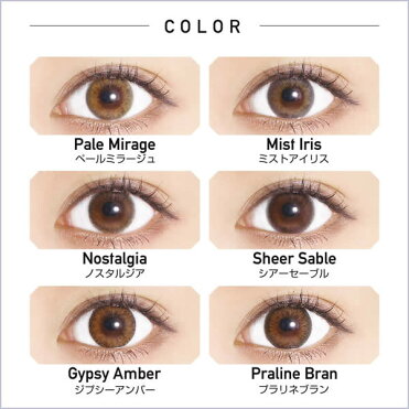 公式限定 2箱購入で1箱プレゼント 安室奈美恵 カラコン Revia 1day Color 10枚入り 送料無料 特典付き レヴィア 度あり 度なし カラーコンタクトレンズ ブラック ブラウン ヘーゼル グレー Room 欲しい に出会える