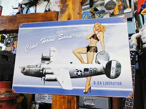 sibvK[@@퓬@@U.S.wB[X`[TC@iB-24@x[^[j@Ŕ@AJG݁@AJG݁@~^[ObY@~^[G݁@ToCoQ[@T