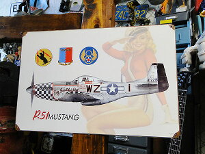 sibvK[@@퓬@@U.S.wB[X`[TC@iP-51@}X^O/hK[j@Ŕ@AJG݁@AJG݁@~^[ObY@~^[G݁@ToCoQ