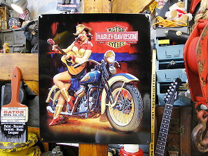 n[[_rbh\@M^[K[@G{X@eBTC@Ŕ@AJG݁@AJG݁@ObY HARLEY@DAVIDSON@@@oCN@oCJ[@uh@K