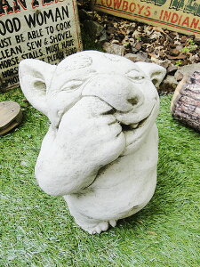 CMX̃Su̐Α@AJG݁@AJG݁@ObY K[fjO@@@CO@O