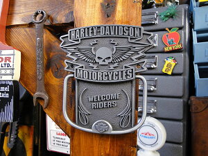n[[_rbh\@XJ@hAmbJ[@AJG݁@AJG݁@ObY HARLEY@DAVIDSON@@@oCN@oCJ[@uh@K[W