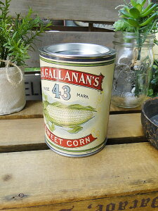 gȃfBXvCp@AeB[Nʋl@iNo.7j@AJG݁@AJG݁@ObY