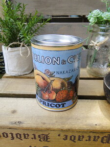 gȃfBXvCp@AeB[Nʋl@iNo.12j@AJG݁@AJG݁@ObY