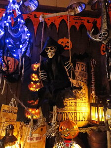 y[zy݌ɂzZT[ŔēIuR[p[@AJG݁@AJG݁@ObY