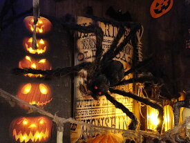 楽天市場 ハロウィン グッズの通販