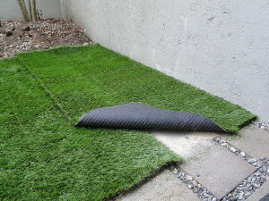 �y�P�i1m�z�y1m������7560�~�z�{���݂����ȃ��A���Ȑl�H�Ł@�A�����J���G�݁@�A�����J�G�݁@�O�b�Y