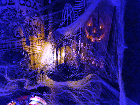 楽天市場 即納 在庫あり スパイダーネットデコレーション ハロウィン グッズ 雑貨 飾り ディスプレイ ハロウィーン パーティー 装飾 オーナメント ルーム デコレーション アメリカ雑貨 アメリカン雑貨 お化け屋敷 グッズ 装飾 肝試し アメリカ雑貨通販