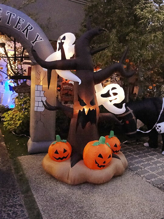 即納在庫あり全国送料無料この迫力、まるでテーマパークのデコレーション! ゴーストツリーパンプキンのエアブロー 楽天1位 ハロウィングッズ ハロウィーン ディスプレイ パーティー デコレーション お化け屋敷 肝試し : アメリカ雑貨通販 ... 即納在庫あり全国送料無料この迫力、まるでテーマパークのデコレーション! ゴーストツリーパンプキンのエアブロー 楽天1位 ハロウィングッズ ハロウィーン ディスプレイ パーティー デコレーション お化け屋敷 肝試し : アメリカ雑貨通販 ...