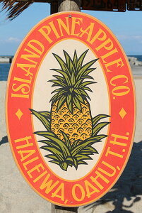 AChpCibvJpj[@ؐŔ@AJG݁@AJG݁@nCAG݁@nCG݁@nCObY@nCAObY@@VbvCeA