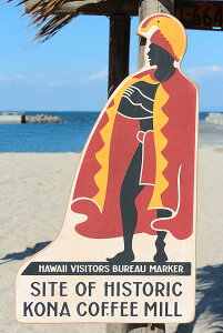 Jnn剤@Xg[gTC@ؐŔ@AJG݁@AJG݁@nCAG݁@nCG݁@nCObY@nCAObY@@VbvCeA