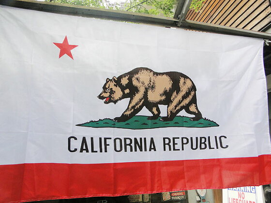 楽天市場 カリフォルニア州旗のビッグサイズフラッグ アメリカ雑貨通販キャンディタワー