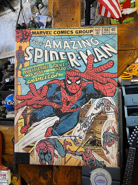 楽天市場 マーベルコミック アメイジング スパイダーマンのキャンバスアート カメレオン アメリカ雑貨通販キャンディタワー