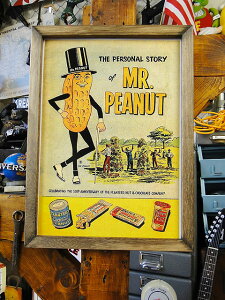 |X^[t[@i~X^[s[ibc/Be[Wj@|X^[ؐt[̃Zbg@AJG݁@AJG݁@ObY