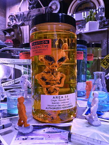 ݌v̔5000˔jI@GA51@GCÃz}Ђ@iIWGCAj@̏񂪑^IcJx[XɏĂ܂@AJG݁@AJG݁@ObY@n