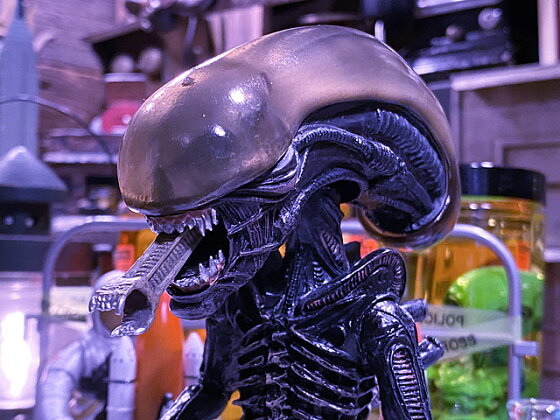 楽天市場 Neca 映画 エイリアン ビッグチャップのヘッドノッカー アメリカ雑貨通販キャンディタワー