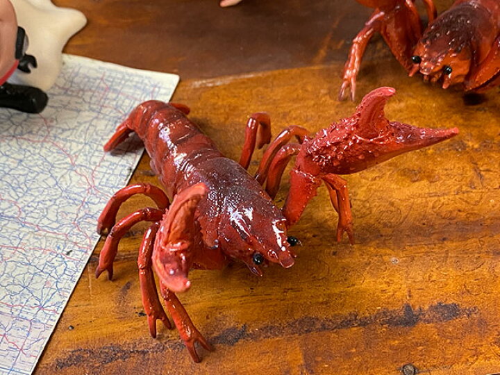 一部予約 サワガニのペンホルダー メガネホルダー アメリカン雑貨 アメリカ雑貨 Shipsctc Org