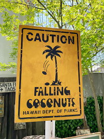 ハワイの道路標識のウッドサイン（ココナッツ落下注意）