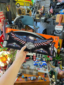 n[[_rbh\@ItBVXebJ[@rbOTCY@fJ[@in[[C[Oj@AJG݁@AJG݁@ObY HARLEY@DAVIDSON@@@oCN